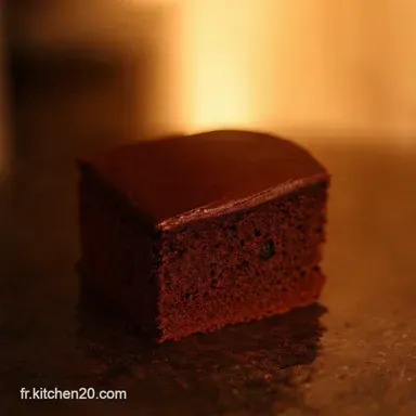 G&acirc;teau au Chocolat L&eacute;ger Moelleux Facile Mon Secret Fiche recette