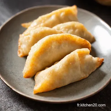 P&acirc;te &agrave; Gyoza Facile La Recette Inratable de M&eacute;m&eacute; Revisit&eacute;e
